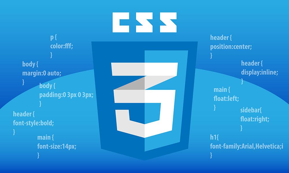 CSS Logo